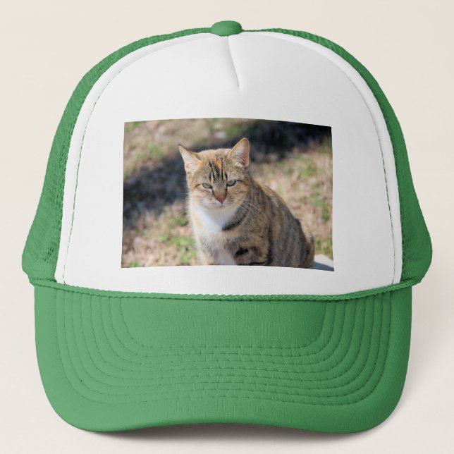 Casquette Cat (Devant)