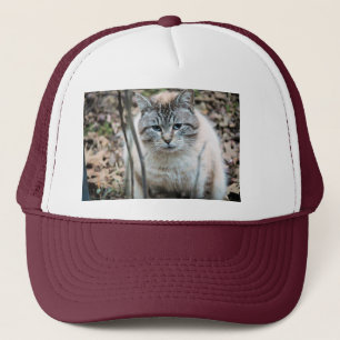 Casquette Cat