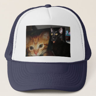 Casquette Cat