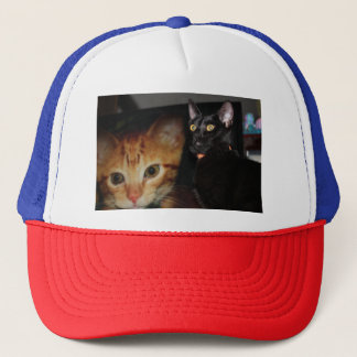 Casquette Cat
