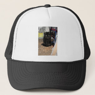 Casquette Cat