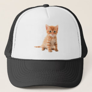 Casquette cat-image-download-picture printed products