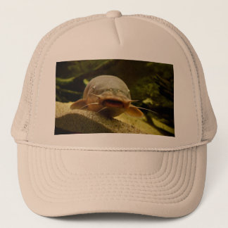Casquette Catfish