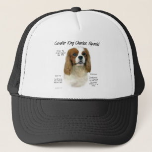 Casquette Cavalier King Charles Spaniel (Blenheim) Histoire