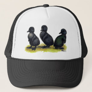 Casquette Cayuga noir