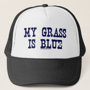 Casquette Célèbre mon herbe est bleue