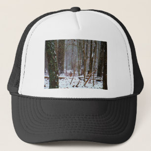 Casquette cerf à queue blanche dans la neige