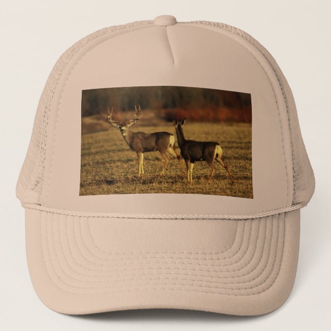 Casquette Cerfs communs dans le pré de matin (Devant)