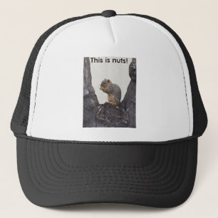 Casquette C'est nuts !