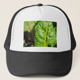 Casquette Chaînes suisses