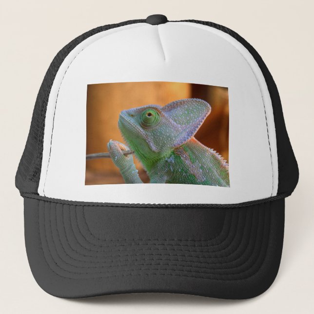 Casquette Chameleon voilé (Devant)
