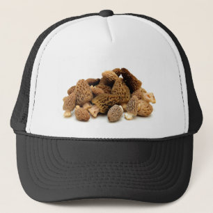 Casquette Champignon de morelle