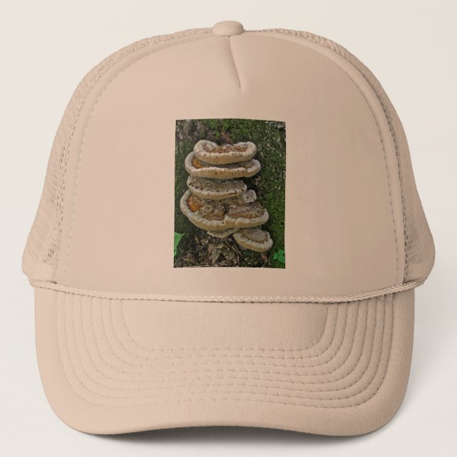Casquette Champignons de plateau sur souche (Devant)