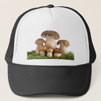 Casquette Champignons edulis de boletus