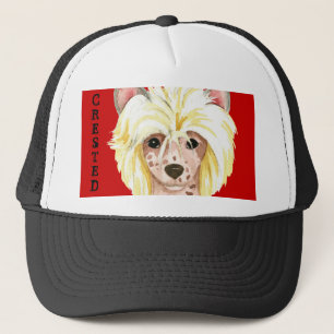 Casquette Chapeau à camionnette en carton couleur huppé ch