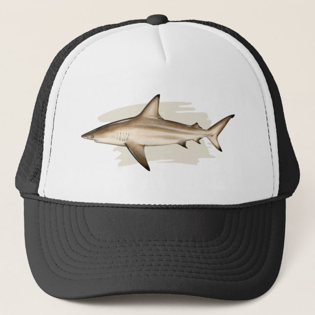 Casquette Chapeau Chauffeur Blacktip Shark (Devant)