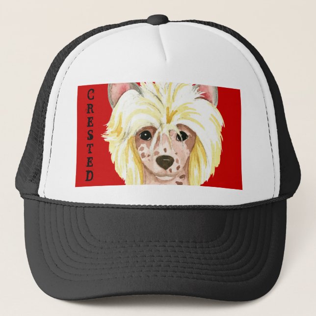 Casquette Chapeau de camionnette chinois en bloc de couleur (Devant)