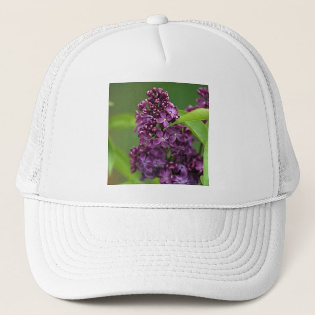 Casquette Chapeau de lilas violet (Devant)