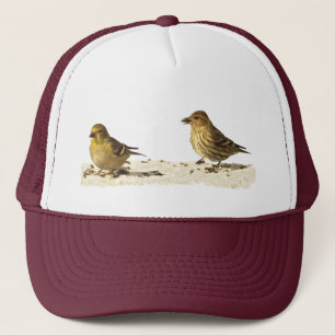 Casquette Chardonneret et pin Siskin