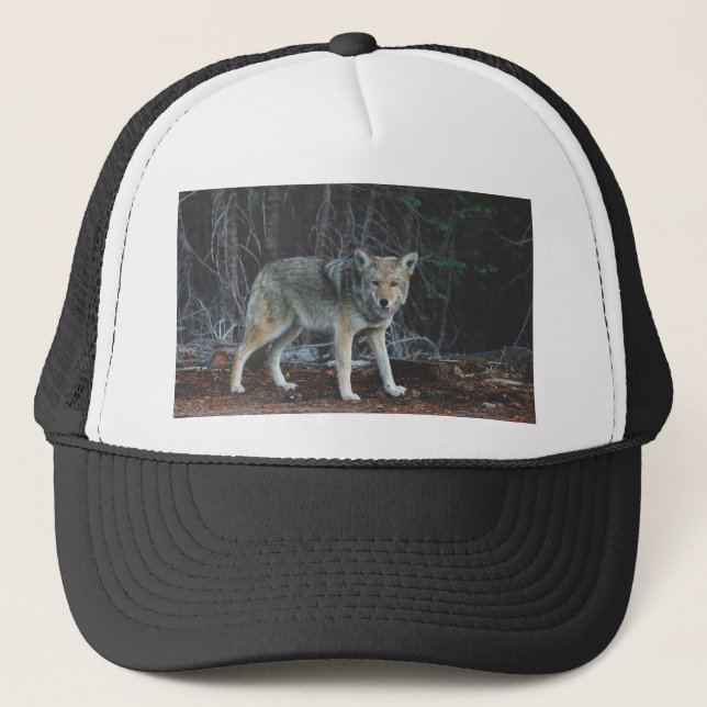 Casquette Chasse de coyote (Devant)