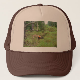 Casquette Chasse de verrat