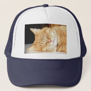 Casquette chat