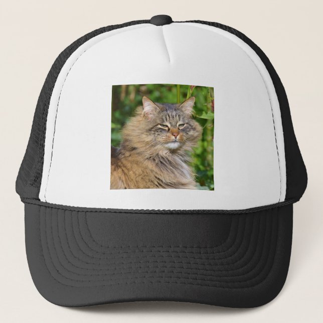 Casquette Chat Angora (Devant)
