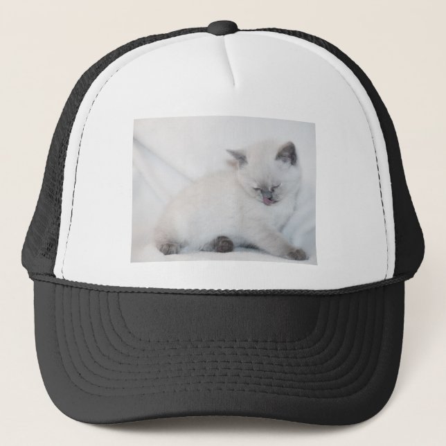 Casquette Chat blanc se toilettant (Devant)
