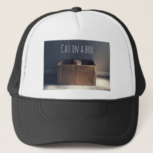 Casquette Chat dans une boîte. Le maître du chat Zen.