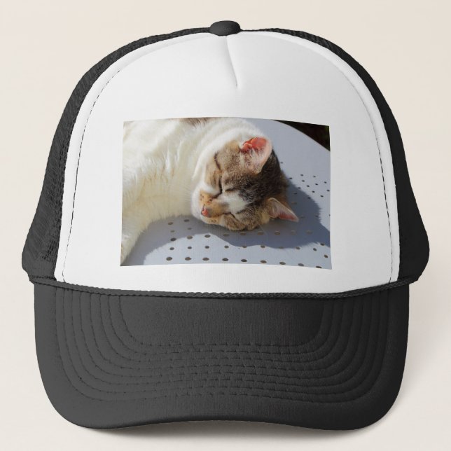 Casquette Chat dormant dans un jardin (Devant)