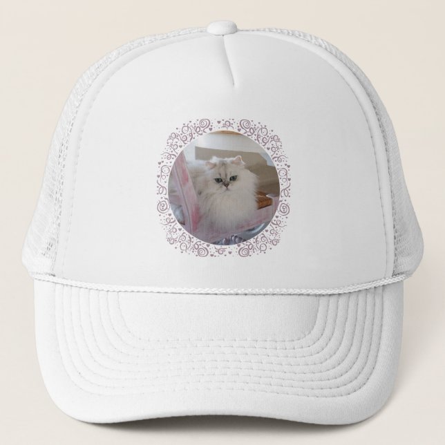 Casquette Chat Persan Blanc sur une Chaise Rose (Devant)
