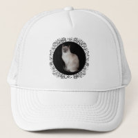 Chat siamois