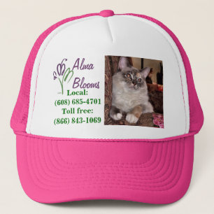 Casquette Chat sur un casquette...