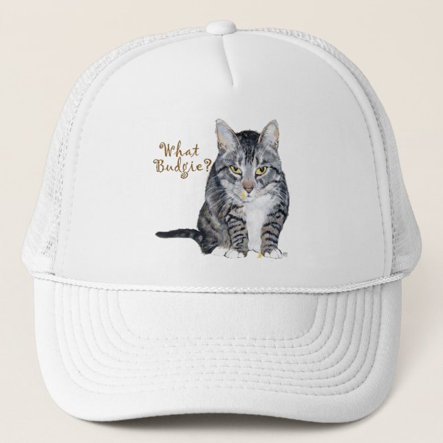 Casquette Chat tigré demande : Quel Perruche? (Devant)