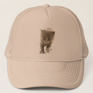 Casquette chaton mignon
