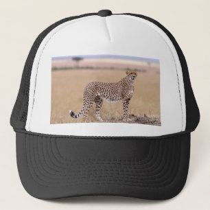 Casquette Cheetah