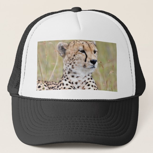 Casquette Cheetah (Devant)