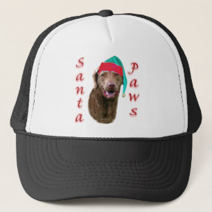 Casquette ChessiePaws
