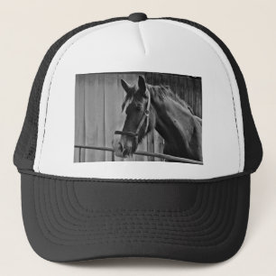 Casquette Cheval blanc noir - Art de la photographie animale