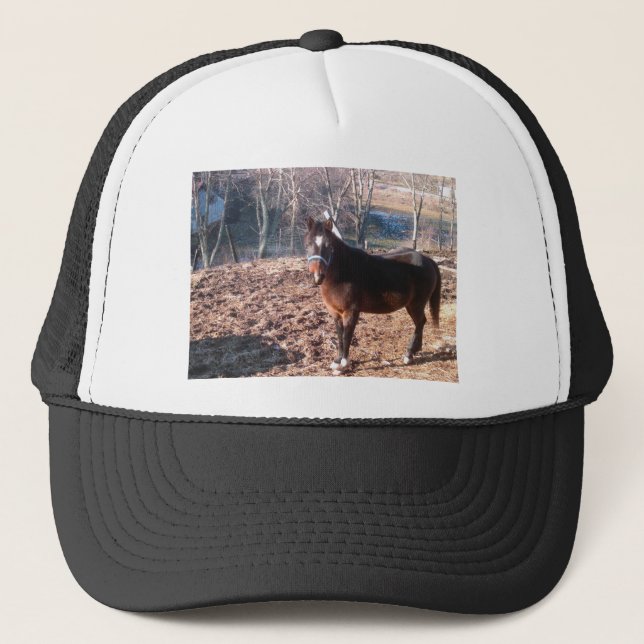 Casquette Cheval Brown (Devant)