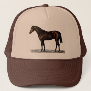 Casquette Cheval Brown