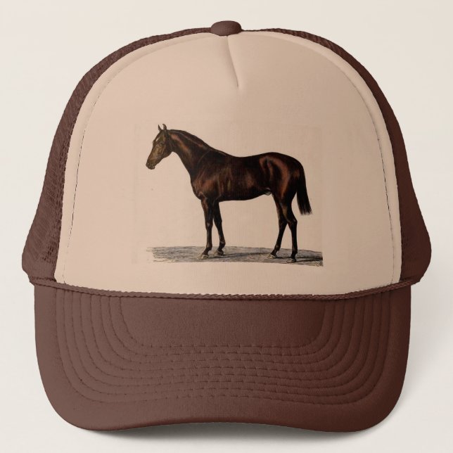 Casquette Cheval Brown (Devant)
