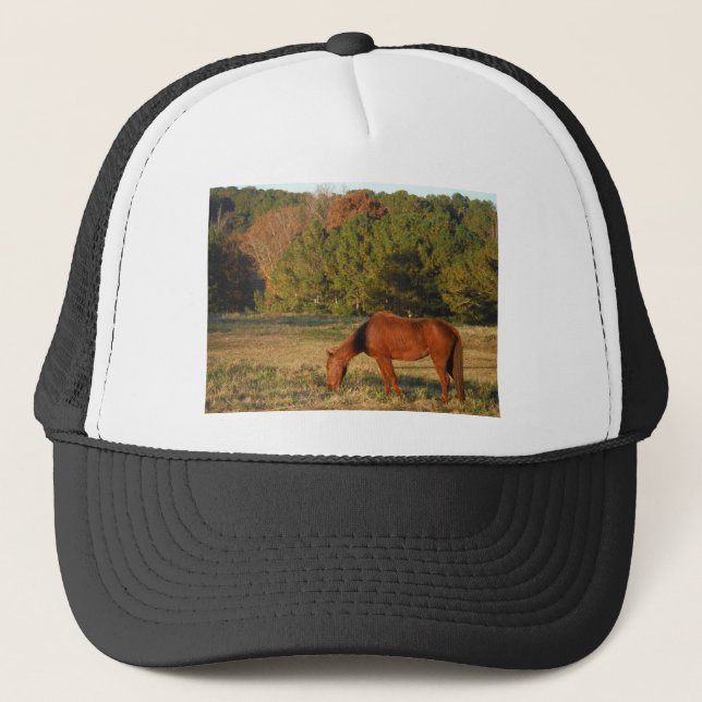 Casquette Cheval Brown aux pins (Devant)