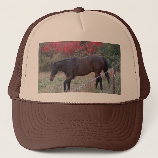 Casquette Cheval Brown dans les arbres d'automne rouges (Devant)