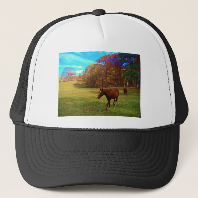 Casquette Cheval Brown dans un champ de couleur arc-en-ciel (Devant)