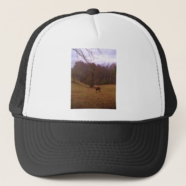 Casquette Cheval Brown et blond dans un champ (Devant)