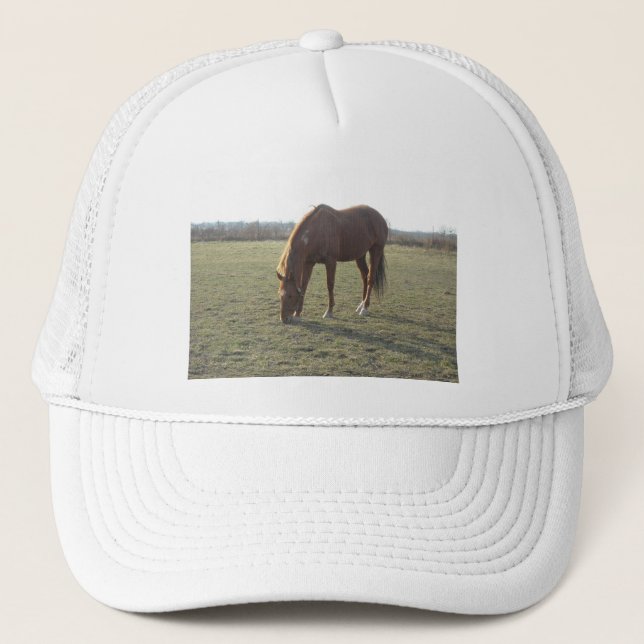 Casquette Cheval couleur châtaignier (Devant)