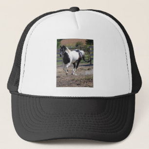 Casquette Cheval/Paint Pinto