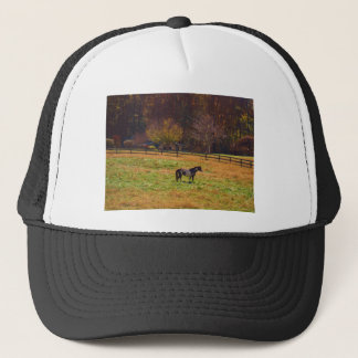 Casquette Cheval peint à distance