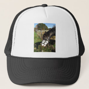 Casquette Cheval Peint, Manger Reine Ann Fleur dentelle